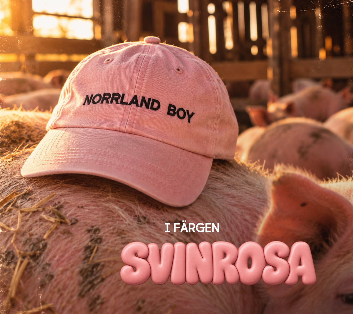 Rivstart NORRLAND BOY Dad Cap - SVINROSA