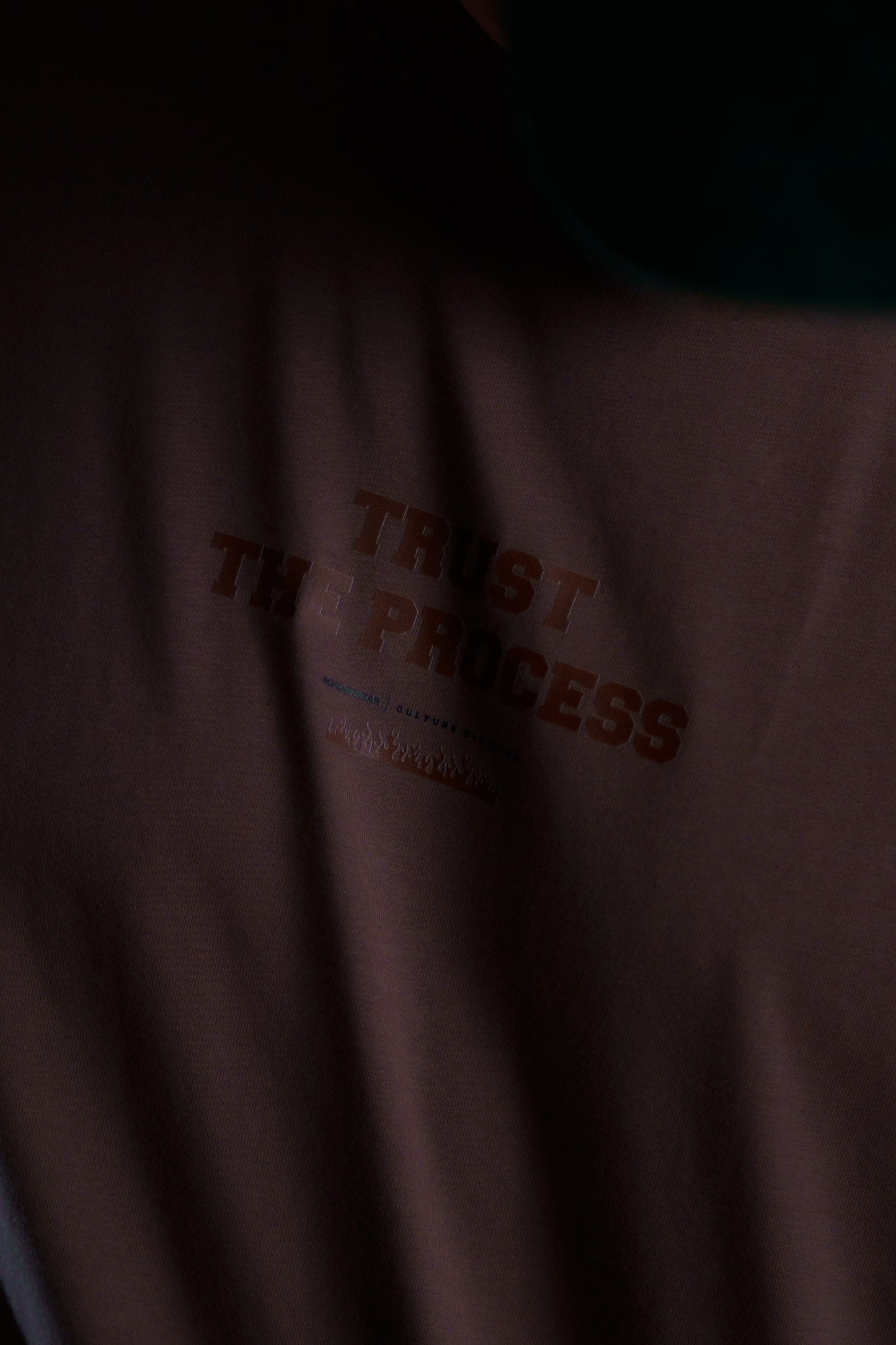 The Roaderwear Trust The Process Tee / T-shirt - Brown / Brun