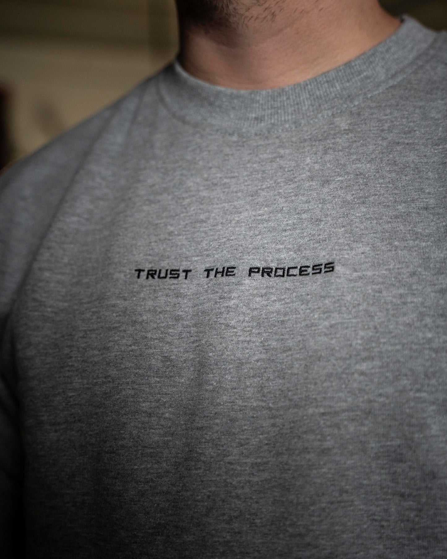 Sweatshirt Trust The Process - Grey Color