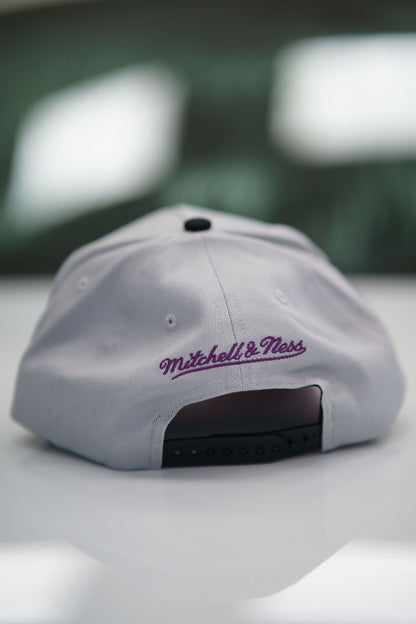 Mitchell & Ness Keps - Own Brand Nostalgia Pro Crown Grey / Black