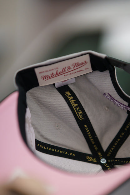 Mitchell & Ness Keps - Own Brand Nostalgia Pro Crown Grey / Black