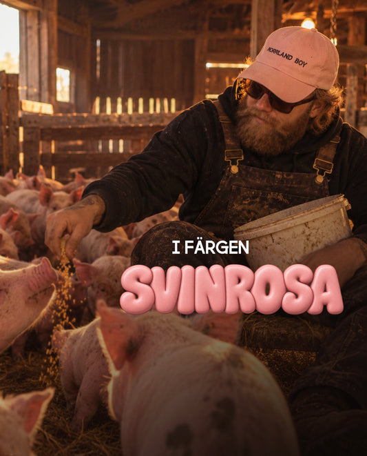 Rivstart NORRLAND BOY Dad Cap - SVINROSA