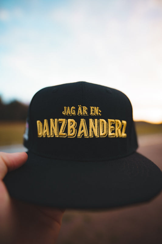 DANZBANDERZ SNAPBACK